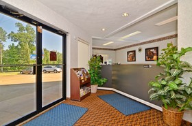Americas Best Value Inn-brandon/jackson East