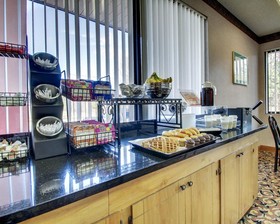 Econo Lodge Inn & Suites