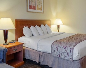 Rodeway Inn