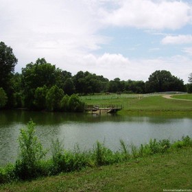 Meadow View Farm
