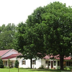 Meadow View Farm