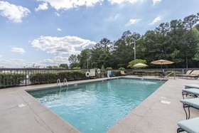 Spark by Hilton Jackson Ridgeland