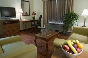 Hampton Inn & Suites McComb