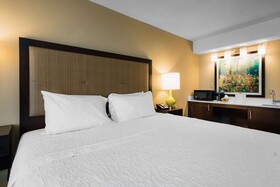 Hampton Inn Meridian