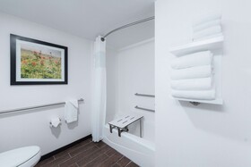 Hampton Inn Meridian
