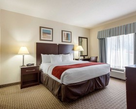 Comfort Suites Olive Branch West