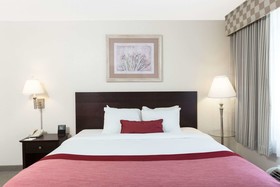 Spark by Hilton Tupelo