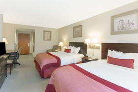 Spark by Hilton Tupelo