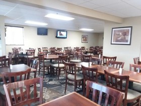 Spark by Hilton Branson Meadows