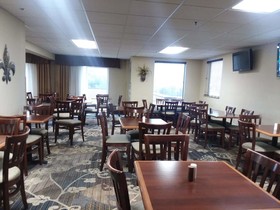 Spark by Hilton Branson Meadows