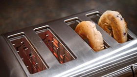 Best Western Music Capital Inn