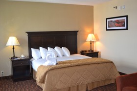 Best Western Music Capital Inn