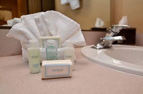Best Western Plus Landing View Inn & Suites