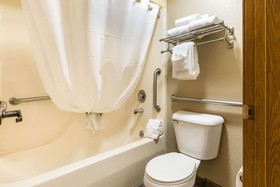 Econo Lodge Inn & Suites Branson Shepherd of the Hills Expy