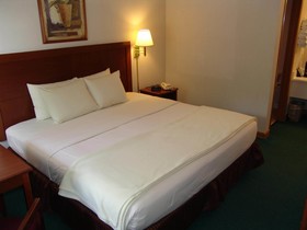 Super 8 by Wyndham Branson / Shepherd of the Hills Exwy