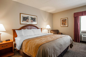 Comfort Inn Festus