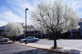 SureStay by Best Western Kansas City Country Inn North