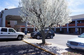 SureStay by Best Western Kansas City Country Inn North