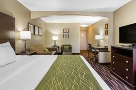 Comfort Inn & Suites Kansas City - Northeast