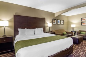 Comfort Inn & Suites Kansas City - Northeast