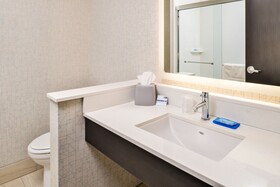 Holiday Inn Express & Suites Lee's Summit - Kansas City