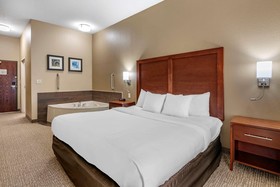 Comfort Inn & Suites St. Louis-O'Fallon