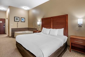 Comfort Inn & Suites St. Louis-O'Fallon