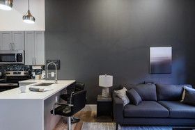 Bordeaux - Luxe LF Square Apts with Rooftop by Zencity