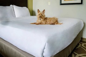 Elimwood Hotel