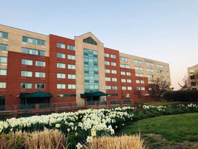 Elimwood Hotel