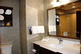 Holiday Inn Express & Suites St Louis Airport