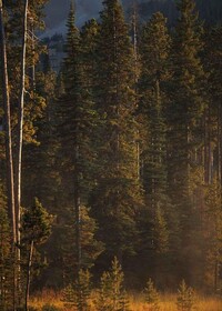 One&Only Moonlight Basin