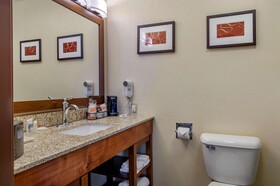 Comfort Inn Bozeman near University