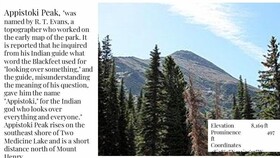 DB Botique and Cabins