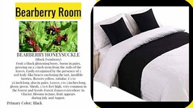 DB Botique and Cabins