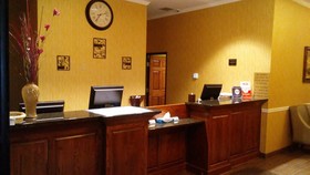 Spark by Hilton Glendive