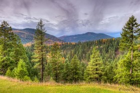 The Lodge At Trout Creek