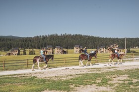 Clydesdale Outpost