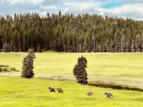 Clydesdale Outpost