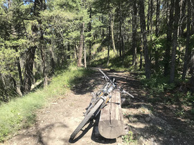 Good Medicine Lodge
