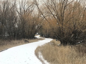 Good Medicine Lodge