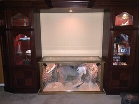 Cheyenne Crossing Apartments