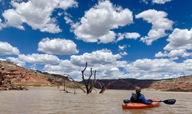 The Grand Hacienda Bed And Breakfast