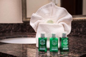 Best Western Airport Albuquerque InnSuites Hotel & Suites