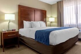 Comfort Inn Albuquerque Airport