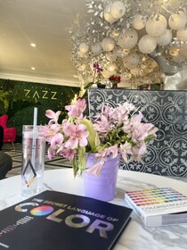 Hotel Zazz
