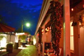 Painted Lady Bed & Brew