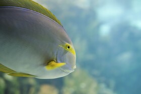 Sheraton Albuquerque Uptown