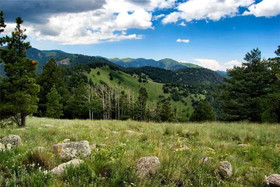 Naylor Mountain Retreat