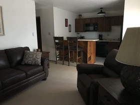 Timberline Condo